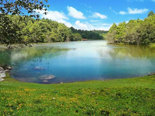 資江流域新寧境內五里山片區銻等重金屬污染風險管控項目（第二次公眾參與公示）